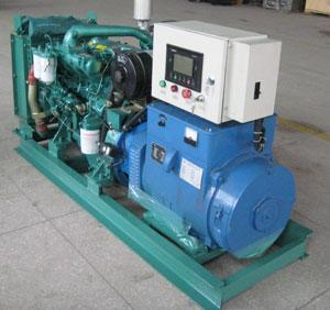 高坪发电机出租